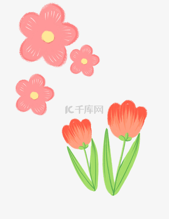 郁金香花朵春天手绘樱花