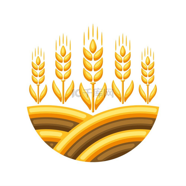 田野的插图与成熟的麦穗。