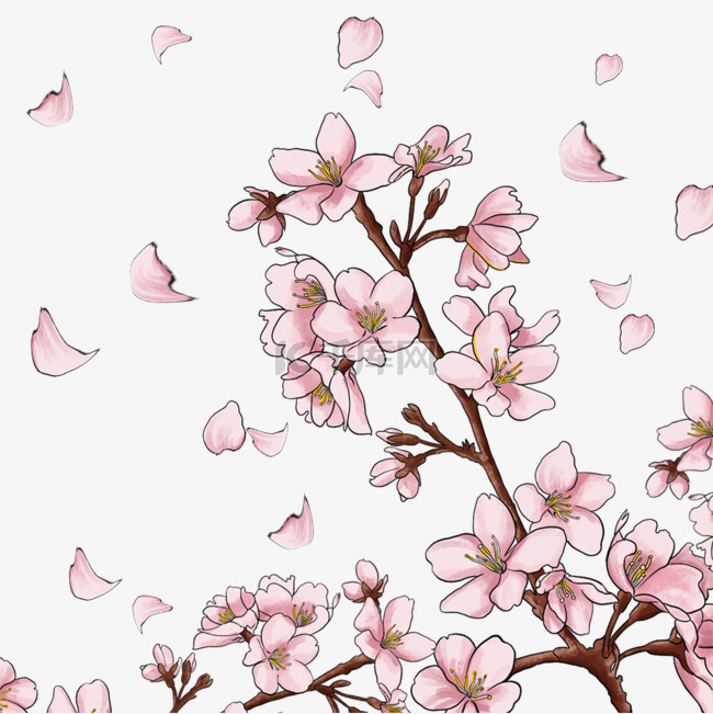 日本浪漫粉色樱花光效花瓣飘落