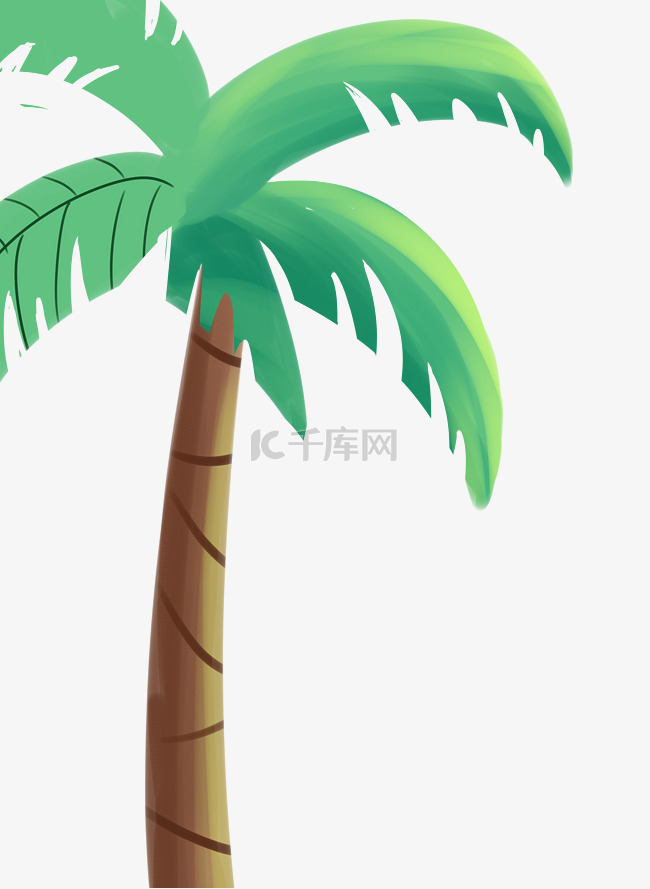 椰子树树木