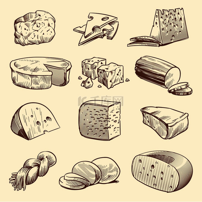 手绘奶酪各种类型的奶酪美味的布