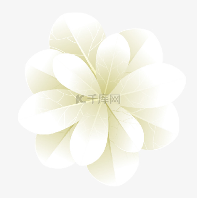 白色可爱花瓣花朵装饰