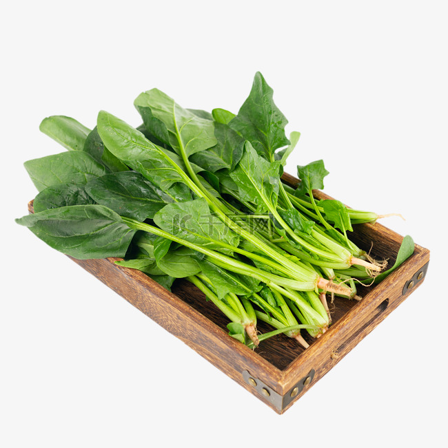 绿色菠菜有机蔬菜