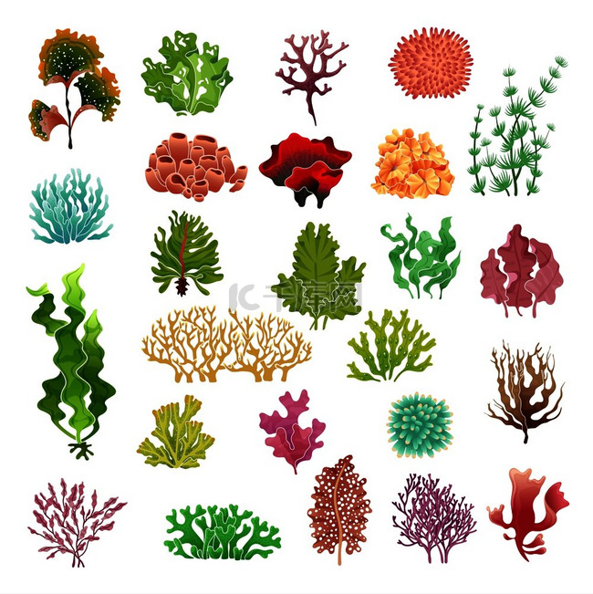 珊瑚和海藻。