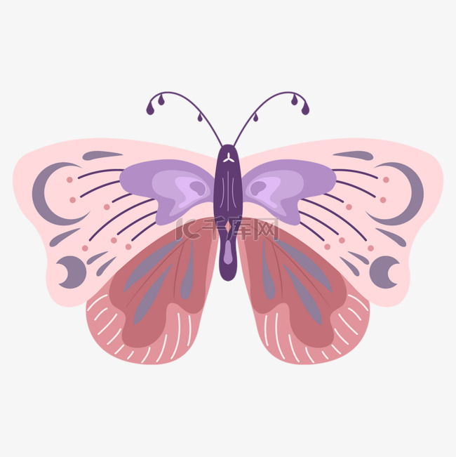 抽象波西米亚风格粉色蝴蝶