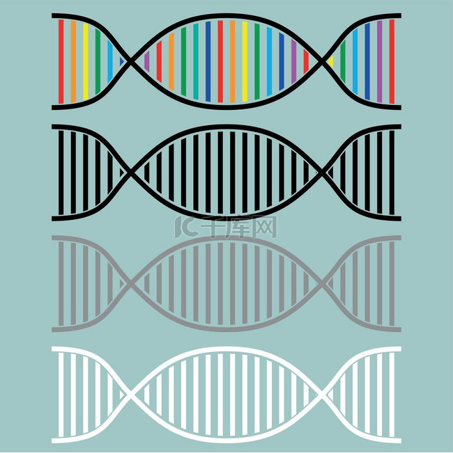 DNA 或脱氧核糖核酸图标。D