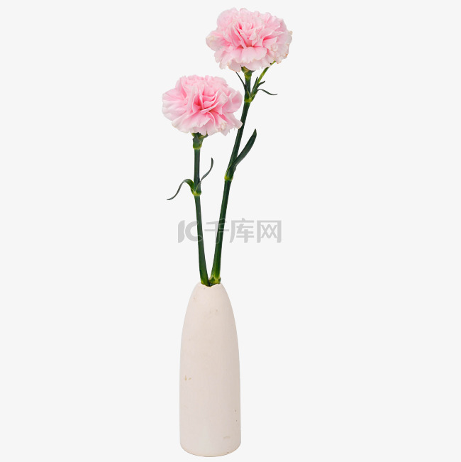 粉色康乃馨鲜花花瓶摆件