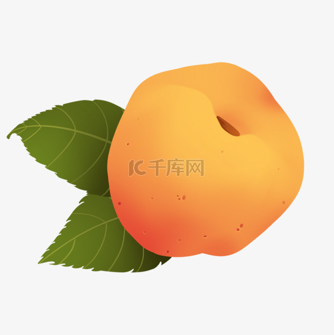 水果绘画剪贴画杏