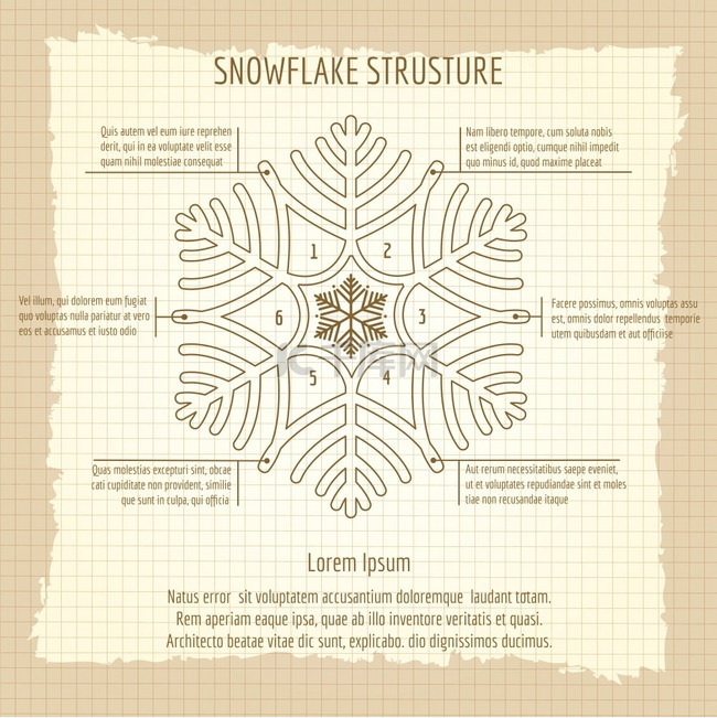 雪花结构复古海报雪花结构矢量雪