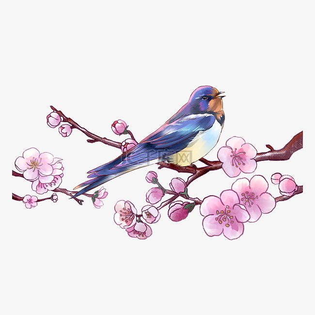 春季燕子桃花樱花水彩