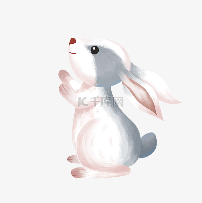 兔年大吉写实兔子