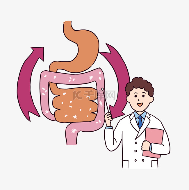 肠道肠胃健康医疗