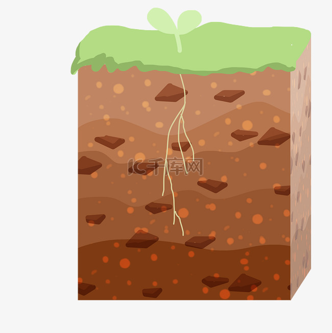 土壤生长植物