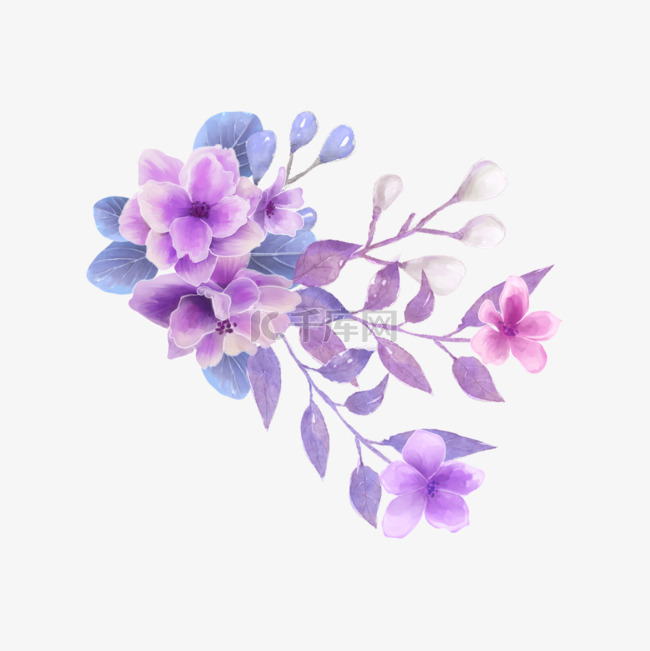 紫色紫罗兰花卉剪贴画粉紫