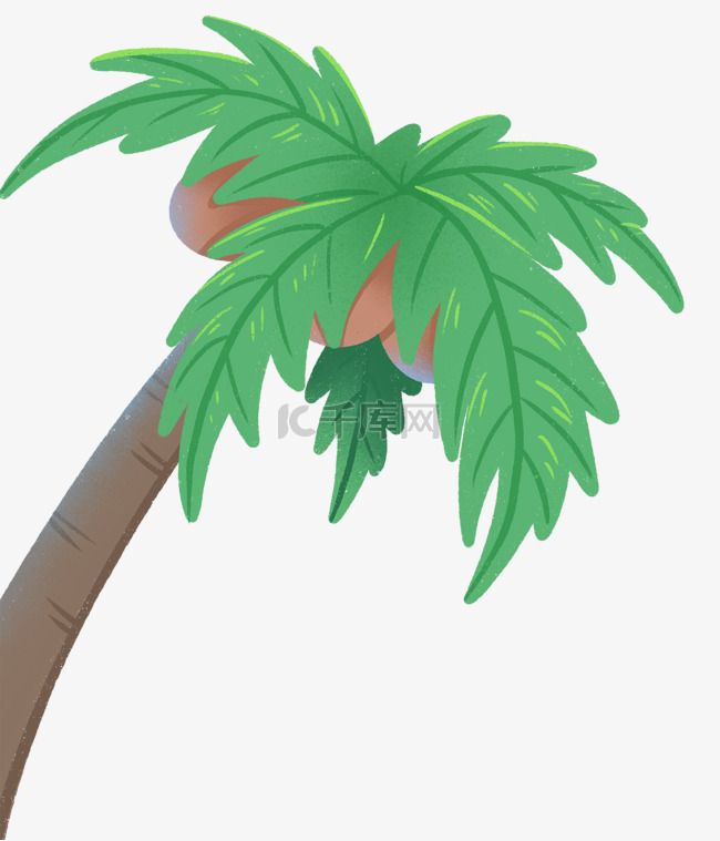 植物椰子树