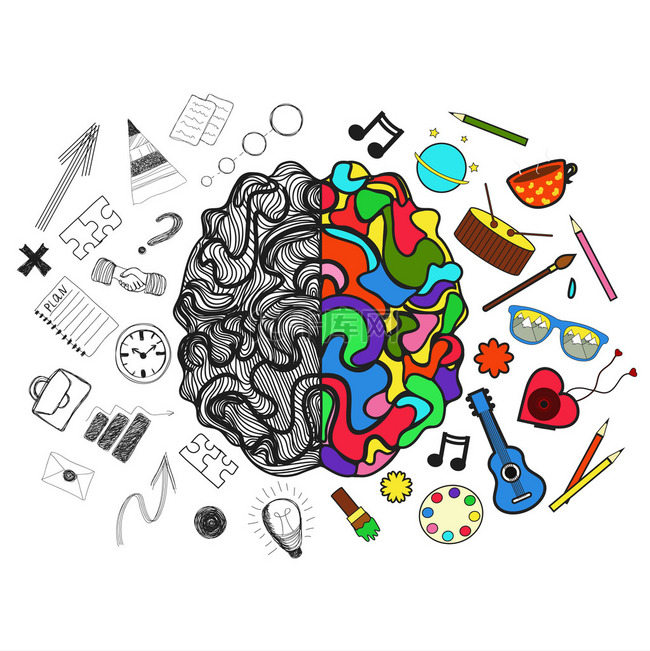 Right and left hemispheres of brain