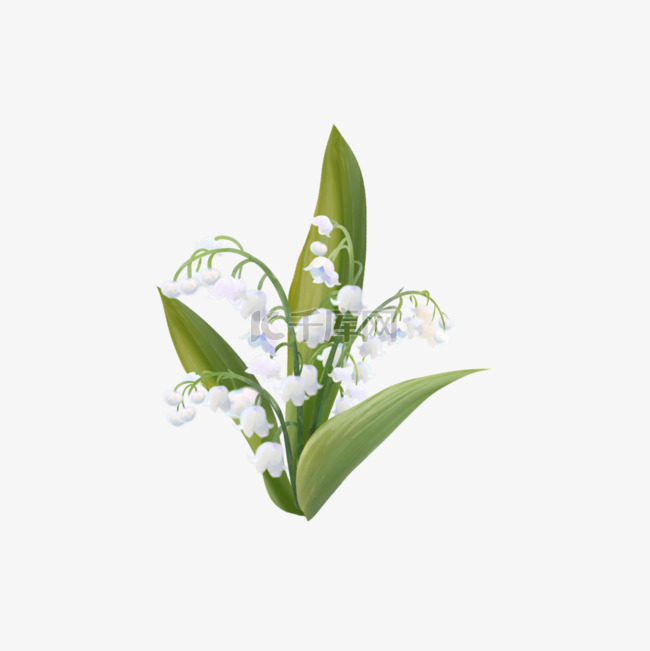 白色水彩婚礼花卉铃兰花