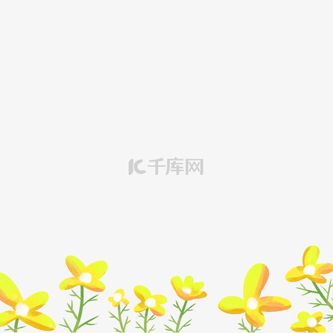 春季植物花丛黄花