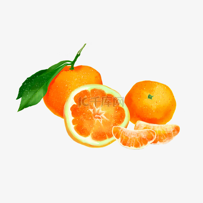 水彩手绘水果之橘子