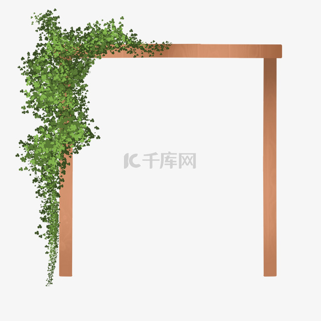 春季植物绿色藤曼