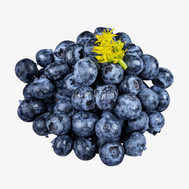 蓝莓水果鲜果