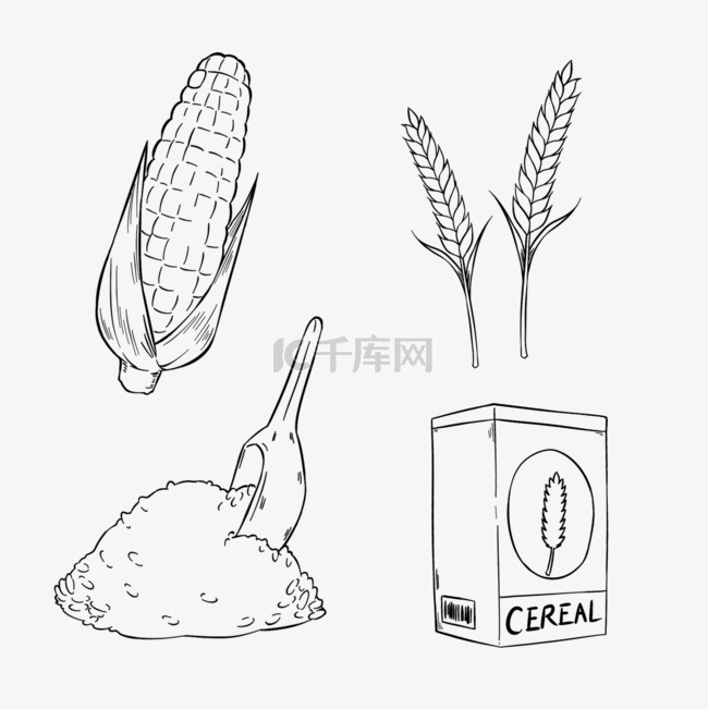 线稿素描玉米食物