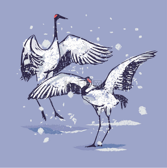 在雪地里跳舞的日本鹤