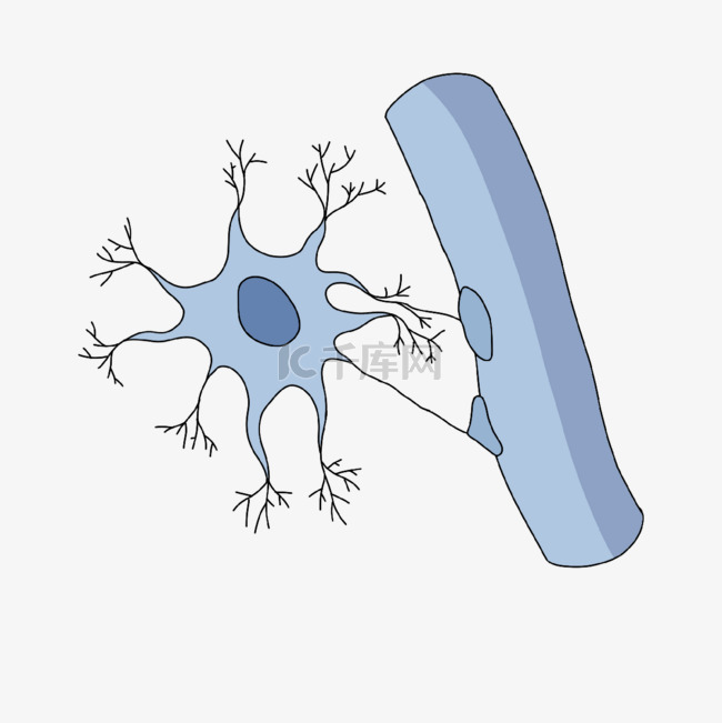 神经病学原浆性星形胶质细胞插画