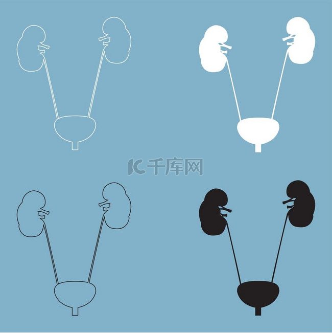 膀胱和肾脏图标.. 膀胱和肾脏