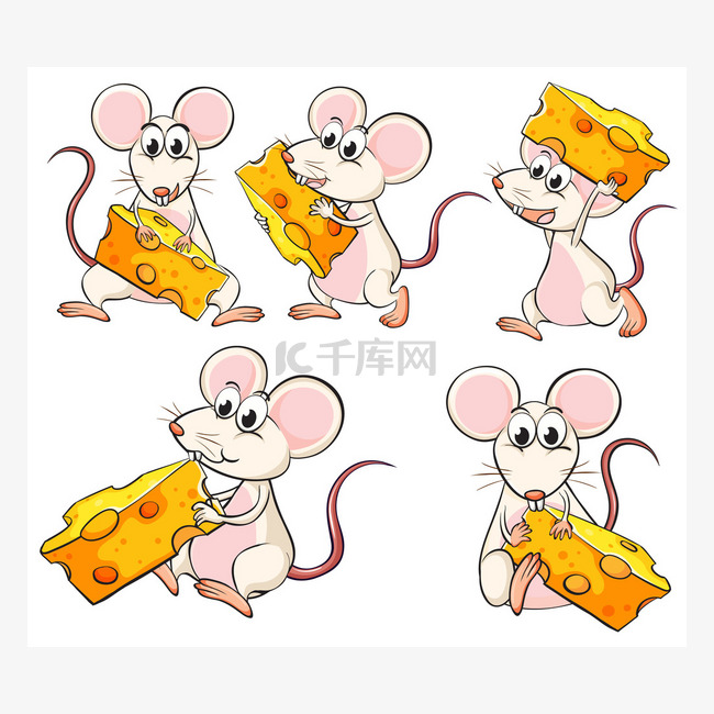 一群老鼠携带片奶酪