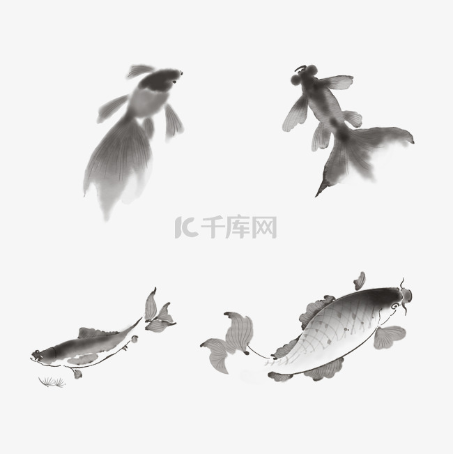 水墨鱼锦鲤金鱼中国风鲤鱼动物鱼