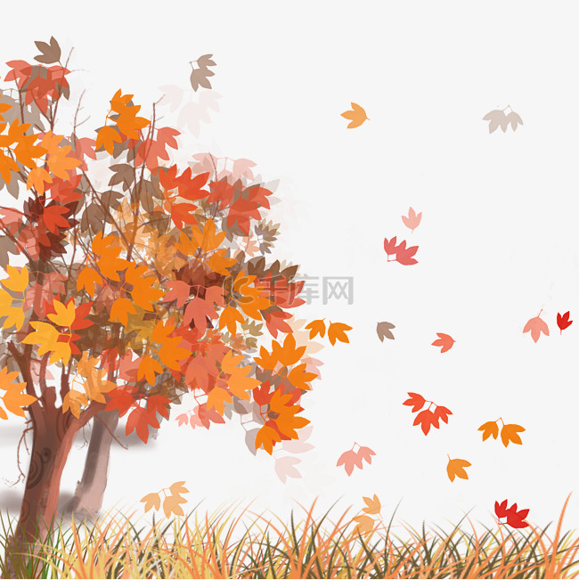 秋天枫树枫叶底边