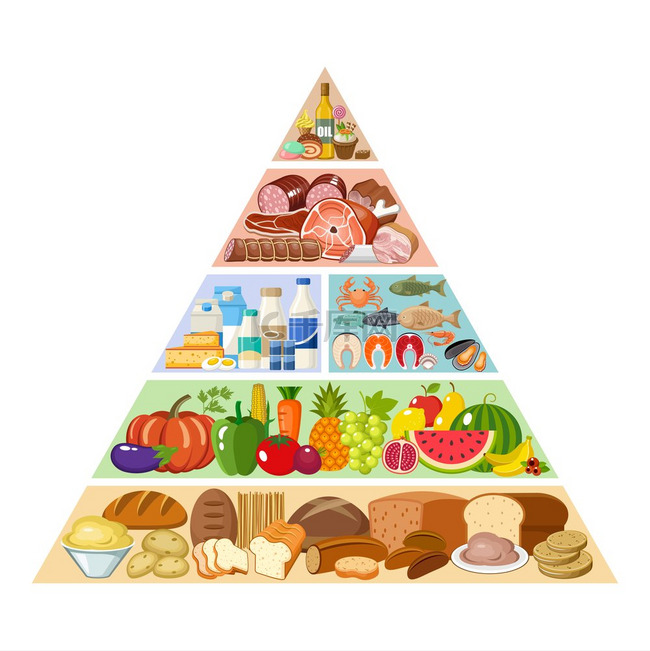 食物金字塔健康饮食信息图矢量平