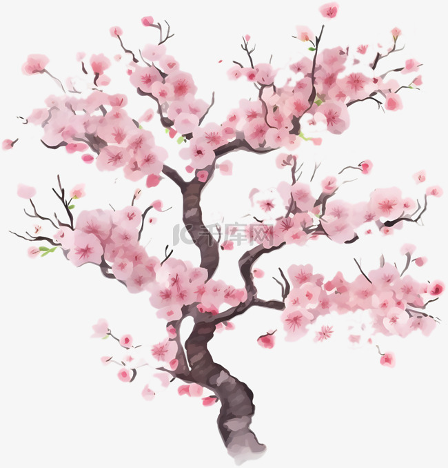 手绘粉色樱花树枝