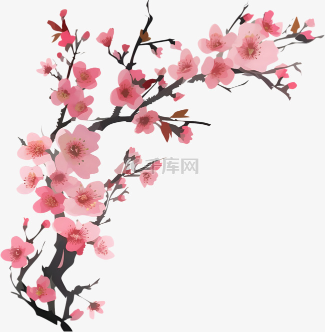 手绘粉色樱花树枝