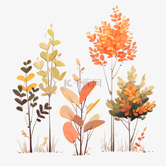 秋天植物卡通手绘栾树树叶秋天叶