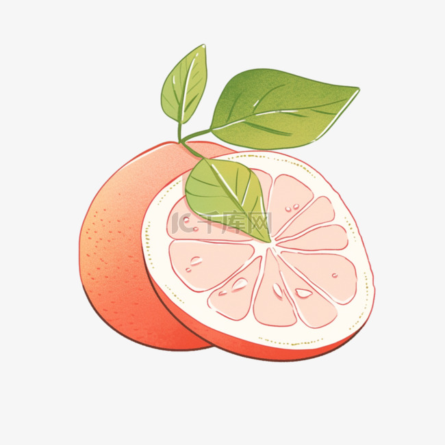 水果柚子手绘元素