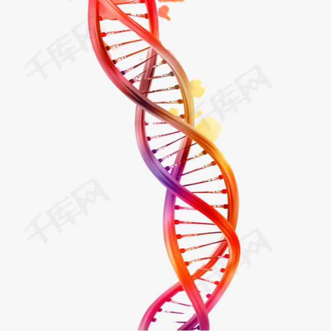 摘要DNA背景
