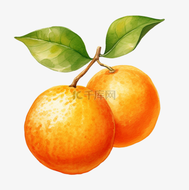 水彩两个橙子免扣元素