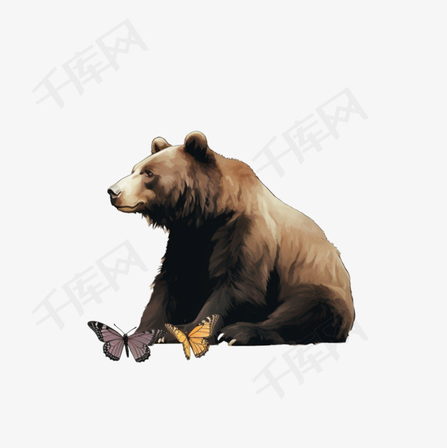 蝴蝶坐在熊的鼻子上