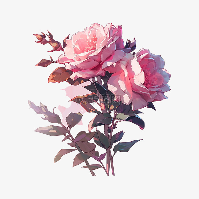 手绘插画花卉玫瑰花元素