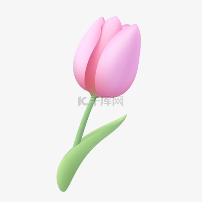郁金香3D可爱图标元素花朵花植物