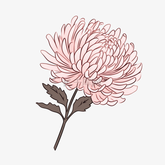 重阳节卡通手绘菊花元素