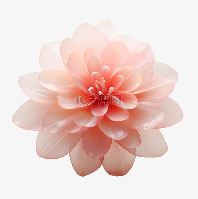 花朵粉色透明质感卡通C4D矢量