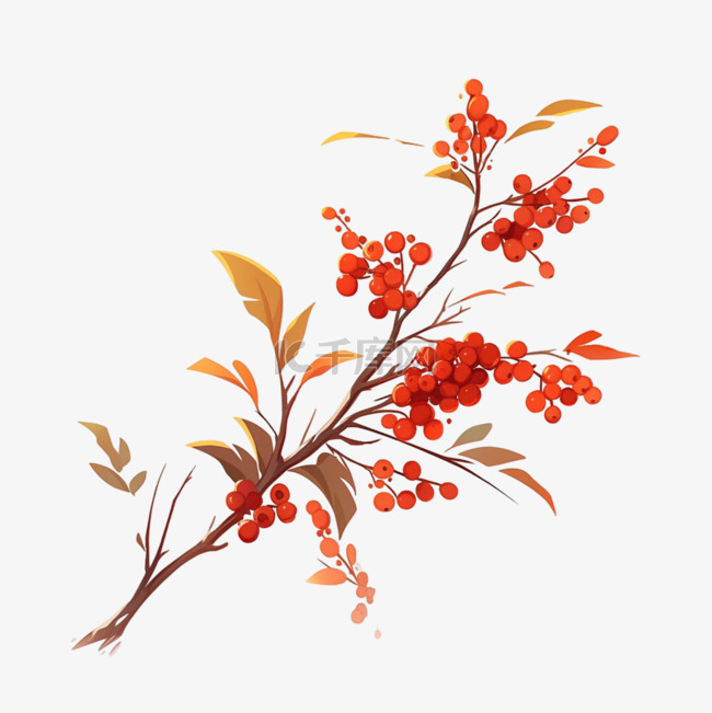 秋天山楂树元素手绘