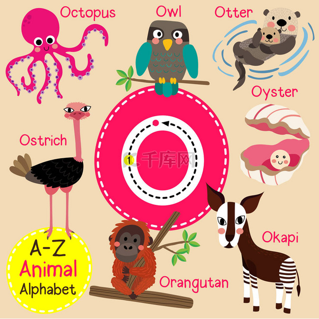 可爱的儿童动物园字母 O 字母