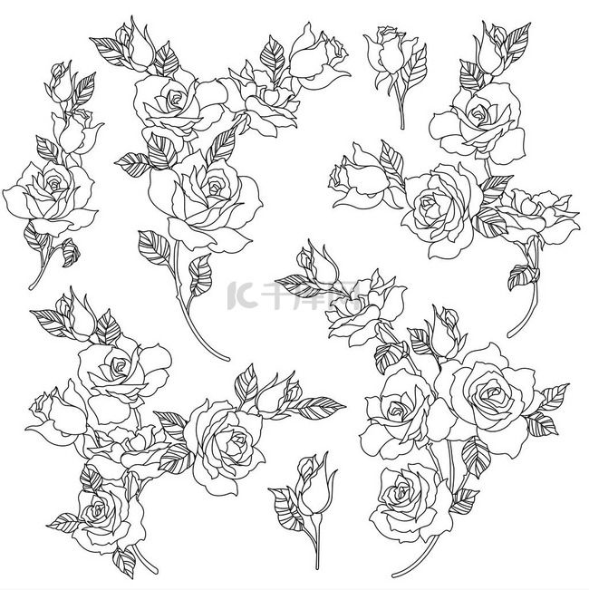 玫瑰花插图, 我做了一个美丽的