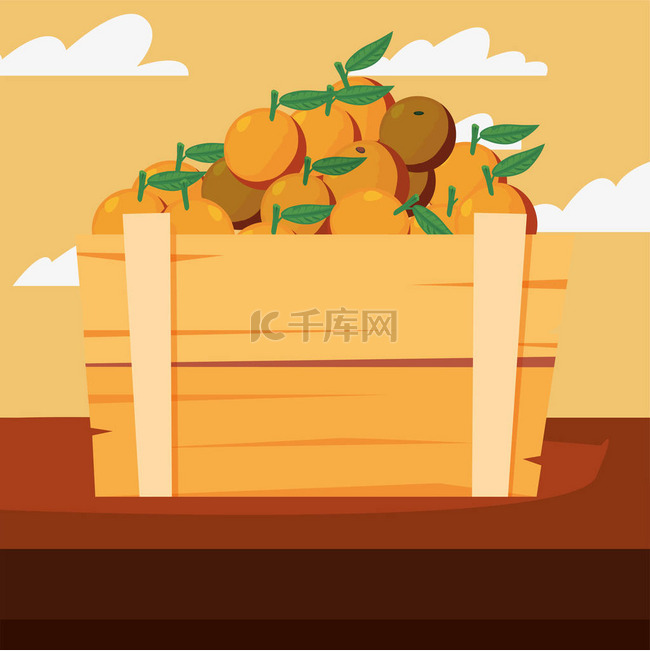 木篮橙子中的新鲜水果
