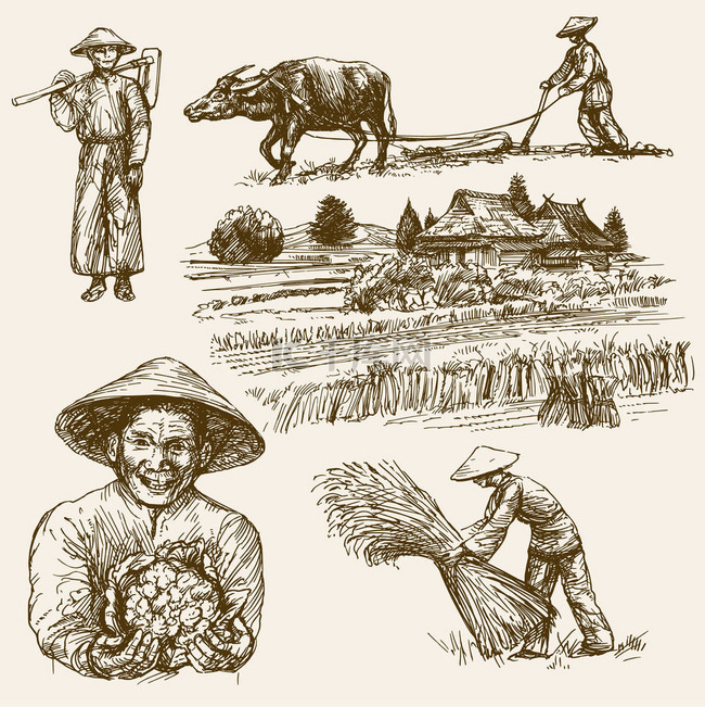 亚洲农民在外地工作。手绘插画。