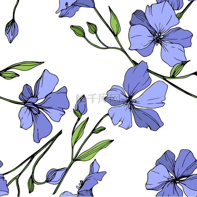 向量蓝色亚麻花植物花。野生春叶